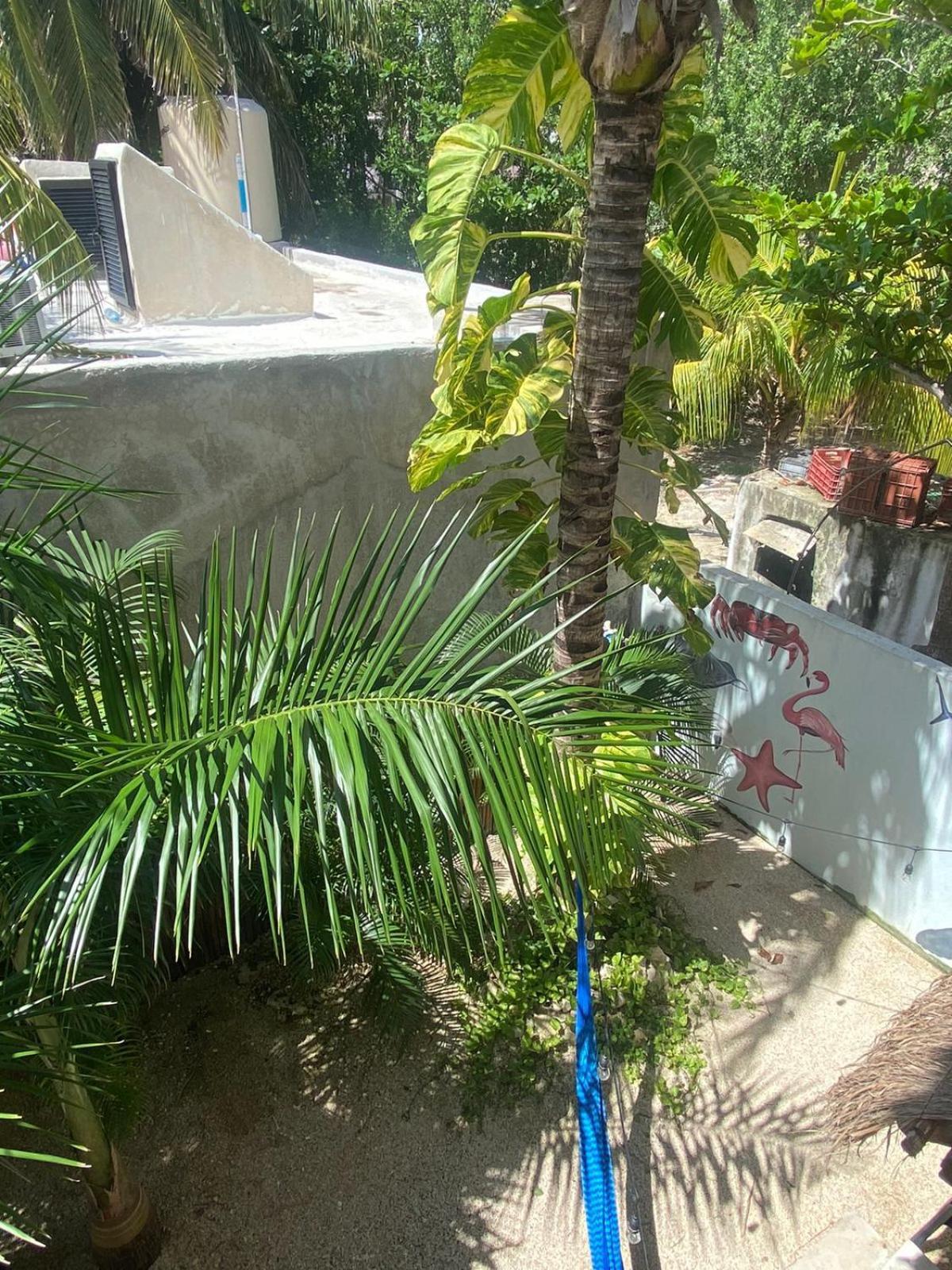 Hotel Pelecanus Suites Holbox Dış mekan fotoğraf